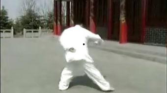 神虎术视频,揭秘古老武术奥秘，传承中华武魂