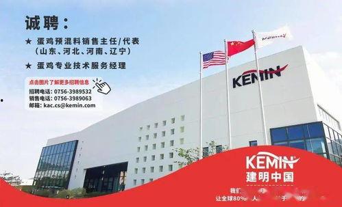 养鸡法视频,轻松掌握高效养鸡技巧