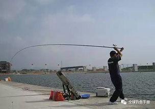 抛竿怎么用视频,轻松掌握钓鱼新技能