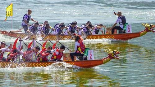 2017温州划龙舟视频,激情四溢的端午记忆