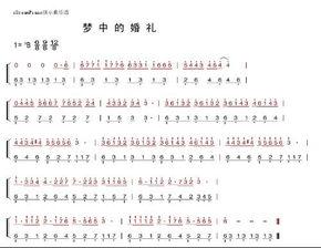 梦中的婚礼弹奏视频,浪漫旋律中的婚礼幻想