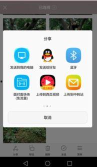 小米视频怎么分享,小米视频教你一键生成精彩内容