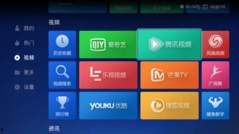 大电视频下载,揭秘热门影视资源获取新趋势