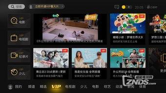 大电视频下载,揭秘热门影视资源获取新趋势